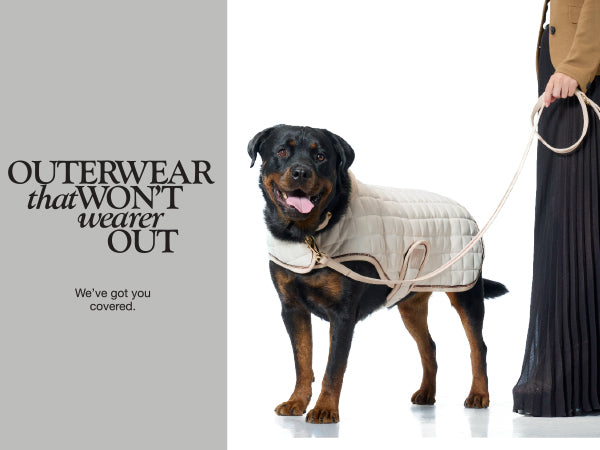 Dog wearing a quilted jacket with text about durable outerwear