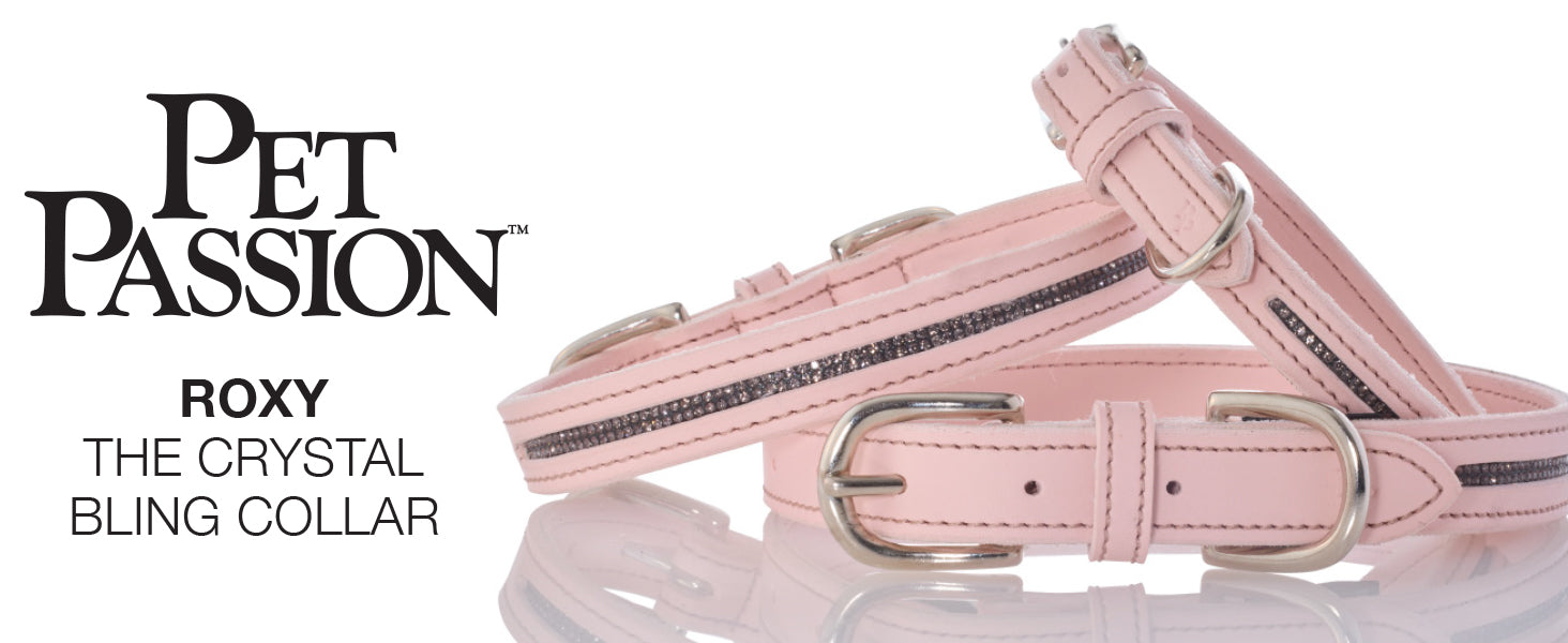 Pink pet collar with crystals and leash on a white background, branded 'Pet Passion'.
