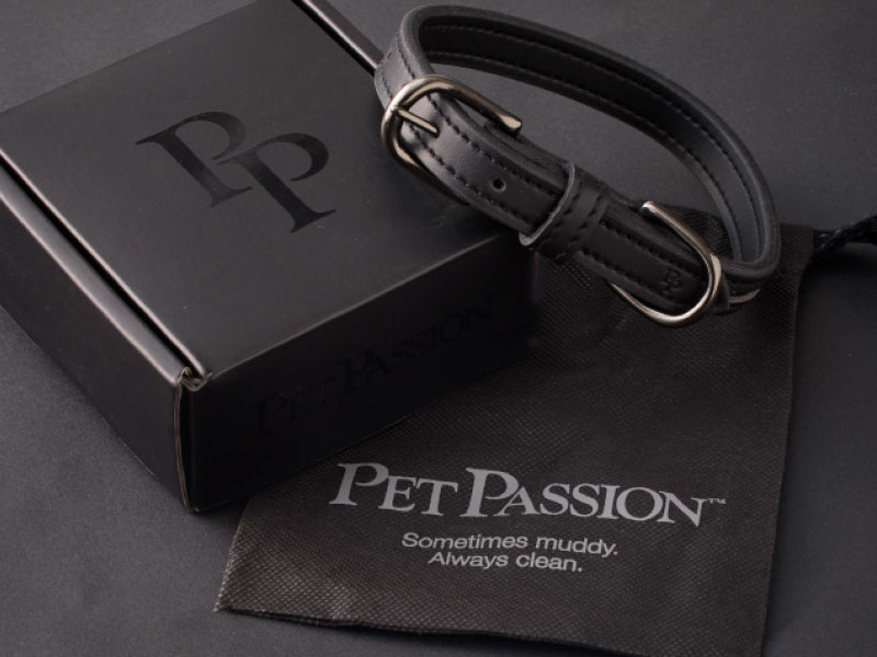 Black leather dog collar with 'Pet Passion' branding on a black background