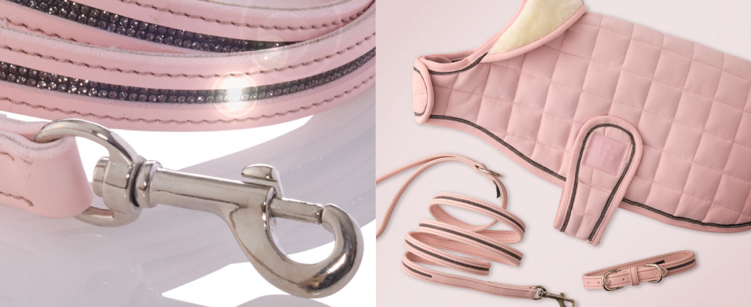 Pink dog leash with silver clasp and pink dog bed on a white background