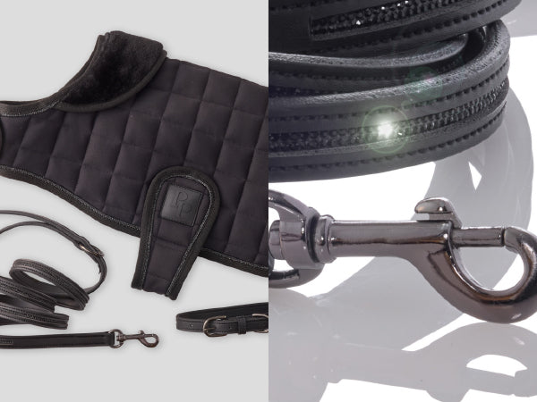 Black dog harness and leash set on a white background