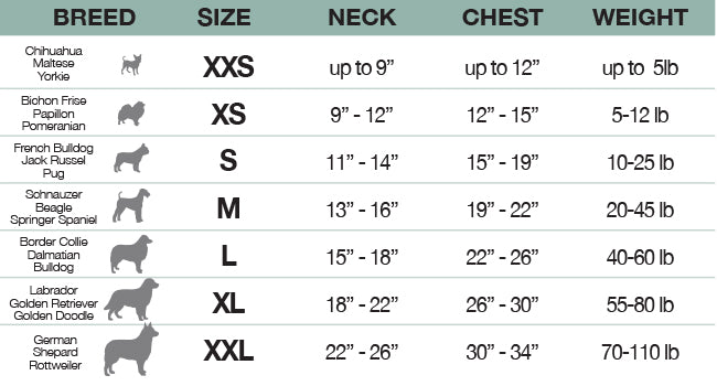 dog size chart from xxs to xxl