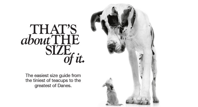 That's the size of it