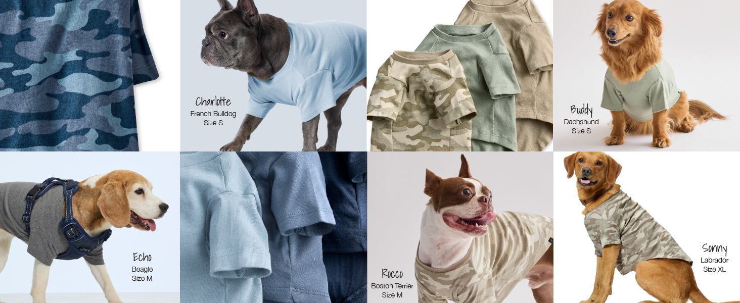 Collage of dogs wearing various outfits with brand names.