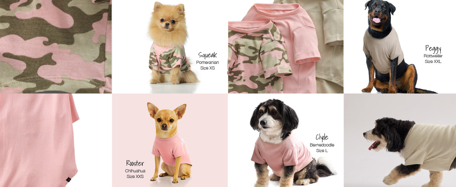 Collage of dogs wearing various outfits including camouflage and pink clothing on a white background.