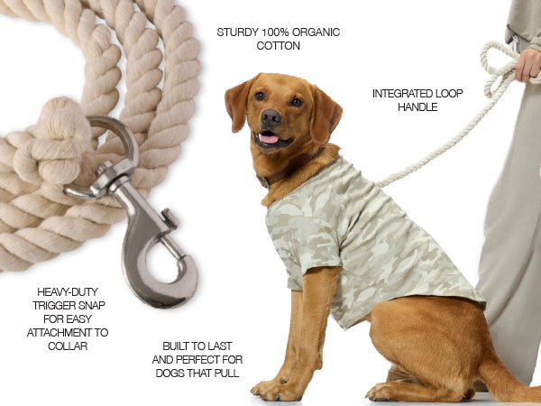 Dog wearing a light-colored shirt with a rope leash and metal trigger snap, on a white background.
